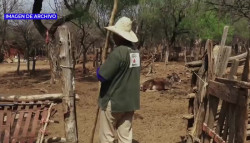 No se han presentado reportes de jornaleros agrícolas con golpe de calor