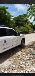 matan a balazos a una perrita en la colonia Jaramillo