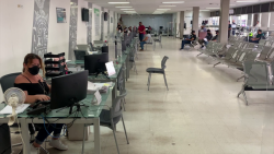 Trabajan en turnos en periodo vacacional en recaudación de rentas