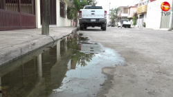 Fuga de aguas negras en fraccionamiento María Fernanda