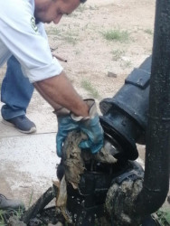 Llama JAPAC a no tirar basura en las alcantarillas