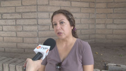 Sinaloa un estado sumido en la violencia contra las mujeres