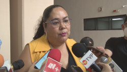 Un presupuesto adecuado para mecanismos de acción requiere el Instituto Protección