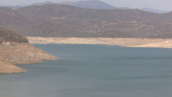 Por la escases de agua productores tendrán que sembrar menos maíz y ofrecer otras alternativas