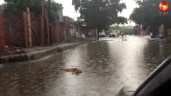 10 carros varados por la lluvia en Mazatlán