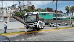 Choca transporte turístico contra palmera