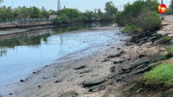 Tras desemboque, baja nivel de agua en Estero del Yugo