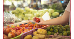 Gobierno Federal afirma que su plan económico reduce inflación en 2.6 puntos