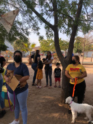 Promueve Ayuntamiento de  Culiacán esterilización de mascotas