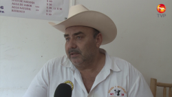 Buscan que Nayarit cumpla con Estatus Sanitario