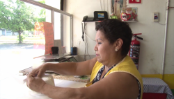 Tortilleros buscan cobrar papel en establecimientos