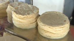 AMLO por impulsar medidas para contener precio de la tortilla