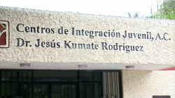 IMJU y CIJ realizan foros virtuales para prevenir adicciones en los Jóvenes