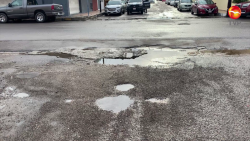 Bache en la colonia Centro