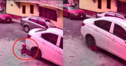¿De quién fue la culpa? FGE investiga a hombre que atropelló a niño de reversa
