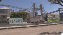 Con la inflación el incremento en la venta de cosechas no se reflejo para el sector primario