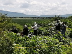 Localizan el cuerpo sin vida de Ángel