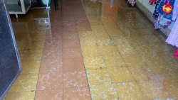 ¡Hasta en sus casas se mete! Derrame de aguas negras en la colonia Montuosa; JUMAPAM ya tiene el reporte