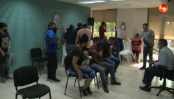 Tortilleros libres se dicen hostigados