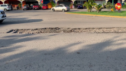 Bache en medio de la avenida Jacarandas