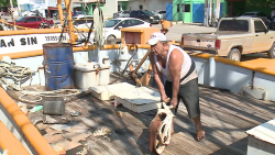 Cada vez somos menos: Pescadores de altamar