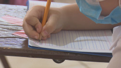 Mexicanos Primero exige generar estrategias pertinentes para la recuperación de los aprendizajes