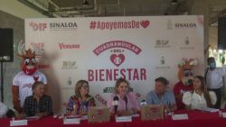 Venados y Tomateros se verán las caras en juego con causa