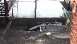 Autoridades de Mazatlán evalúan daños en restaurantes ubicados en playas
