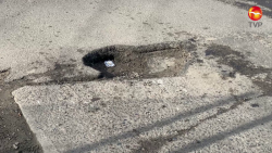Bache en la avenida Leonismo Internacional