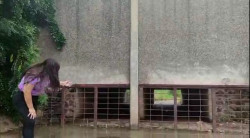Denuncian que drenaje pluvial de la Primavera afecta casas y escuela del ejido Huzaches