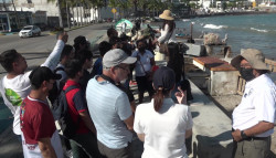Realizan avistamiento de aves en Playa Norte de Mazatlán