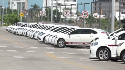 Taxis Rojos se incluye a la aplicación "Taxis Ejecutivos Los Mochis"