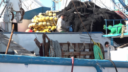 Se alistan pescadores para salir a capturar camarón