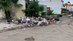 Foco de infección atrás de un kínder de Infonavit Playas; dicen que la basura tiene días que no pasa