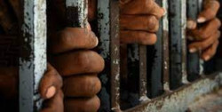 2 mil 685 personas que están en  cárceles de México, serán liberadas