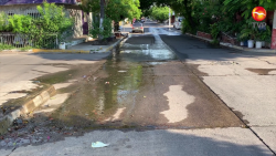 ¡Sale de la banqueta! Fuga de agua potable en Sánchez Celis
