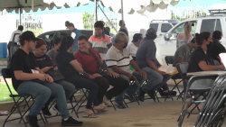 Hasta el 31 de diciembre se aplaza regularización de autos en Sinaloa