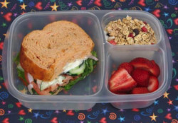 Recomienda IMSS Sonora lunch saludable para evitar obesidad en niños, niñas y adolescentes
