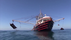Se levanta la veda para captura de camarón en altamar