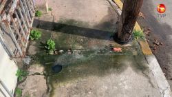 Fuga de aguas negras en la López Mateos