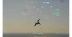 Pájaro se estrella con avión militar de EEUU y lo derriba (video)