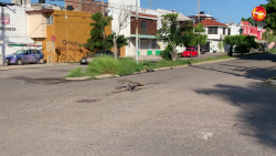 ¡Se la llevó! Vientos destapan alcantarilla