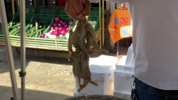 Esperan que hasta noviembre repunten ventas en "Changueras"