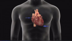 Se debe tener un control de la salud cardiovascular