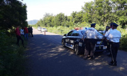 Muere tras ser embestido por un auto