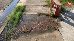 Agua sale de la banqueta en una calle de Arboledas III