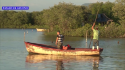 Ribereños del sur de Sinaloa reportan buenas capturas de camarón