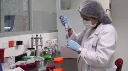 Examen de genética para identificar cuerpos es gratuita