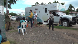 Casi 100 animales han sido esterilizados en Mazatlán