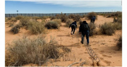 55 mil migrantes interceptados en agosto, un 175% más: se teme "desborde"
